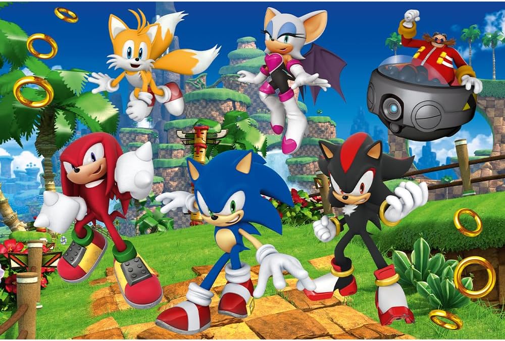 Puzzle Jeu Vidéo Sonic